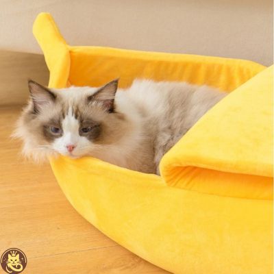 panier pour chat banana split chat en detente