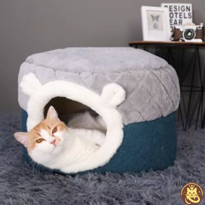 panier pour chat cocon caméléon fermé chat observant dedans