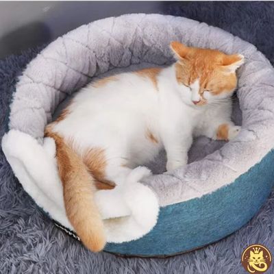 panier pour chat cocon caméléon ouvert chat se prélassant dessus
