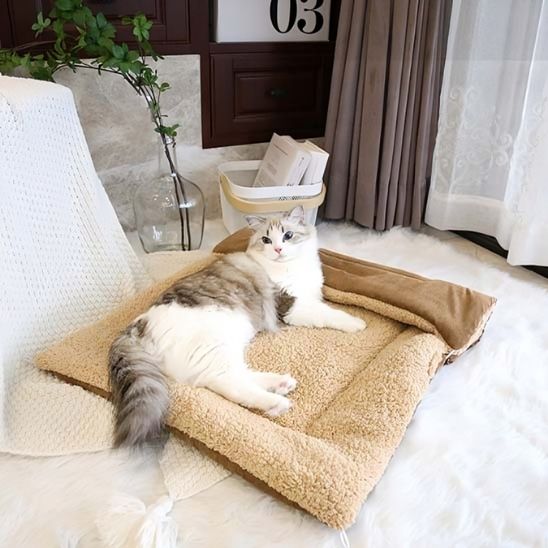 panier pour chat côté tapis shepra persan allongé dessus