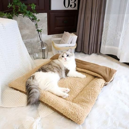 panier pour chat côté tapis shepra persan allongé dessus
