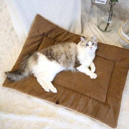 panier pour chat côté tapis suède persan detendu dessus