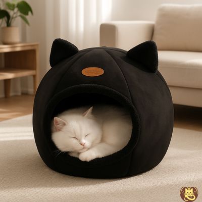 panier pour chat velvy nest noir avec chat blanc faisant sieste dedans