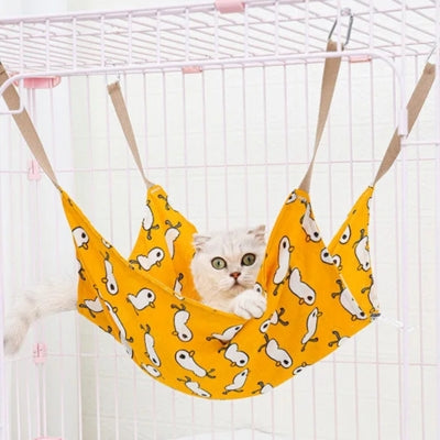 persan caché dans hamac à chat accroché à cage