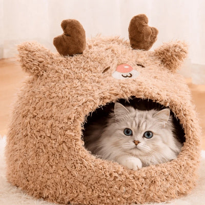 persan lové dans sa niche pour chaton