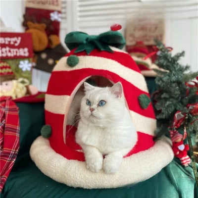 persan relaxant dans niche chat