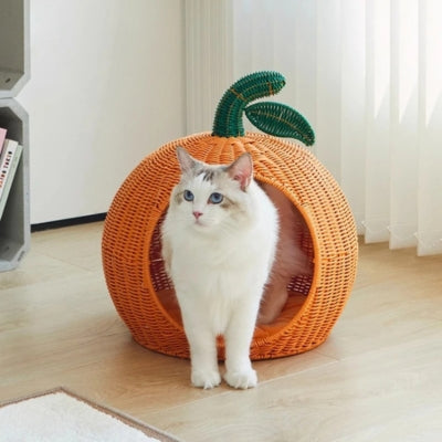 persan sortant panier en rotin pour chat