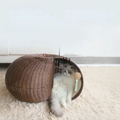 ragdoll allongé confortablement dans panier chat en osier