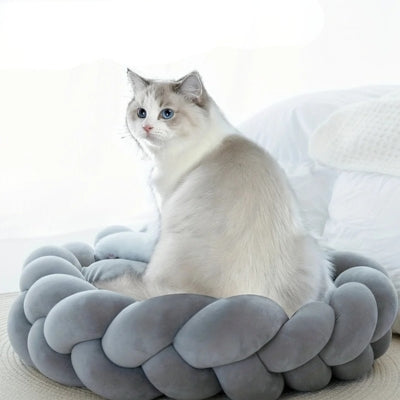 ragdoll assis dans couffin pour chat