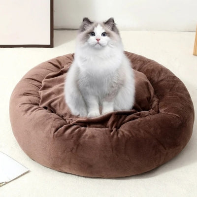 ragdoll assis sur couffin pour chat marron foncé