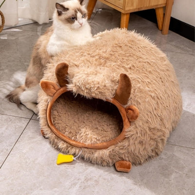 ragdoll debout accoté sur cocon pour chat