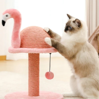 ragdoll debout griffant sur griffoir chat