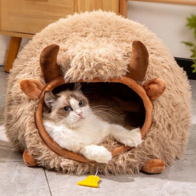 ragdoll detendu confortablement dans son cocon pour chat