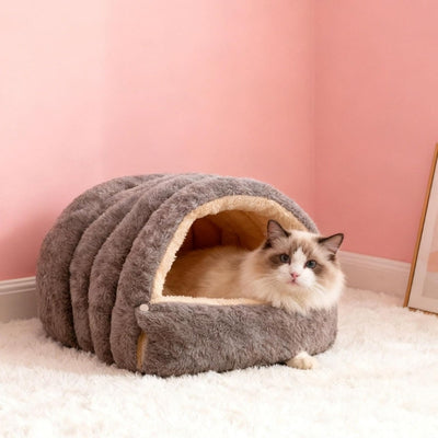 ragdoll detendu dans maison pour chaton gris perle