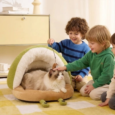 ragdoll detendu dans niche à chat enfants autour
