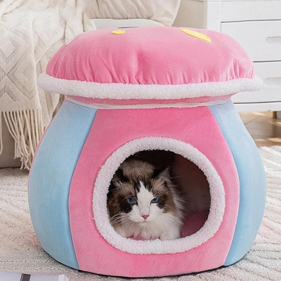 ragdoll detendu dans nid chaton rose bleu