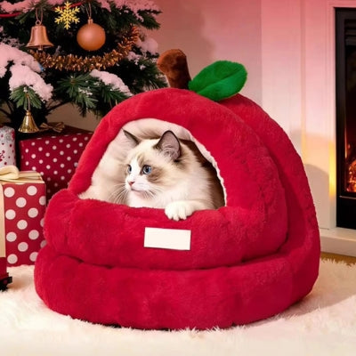 ragdoll detendu dans nid chaton rouge cerise