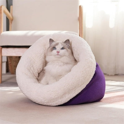 ragdoll detendu dans nid chaton violet prune