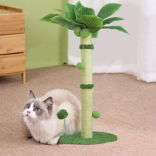 ragdoll detendu en dessous griffoir