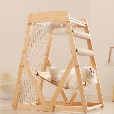 ragdoll detendu sur hamac à chat