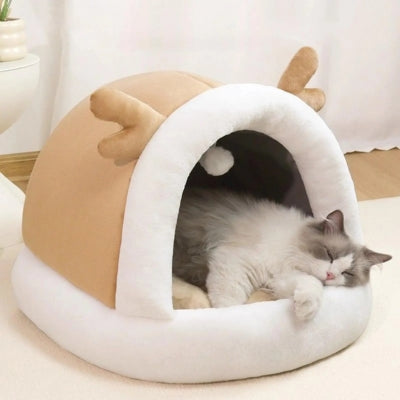 ragdoll dort profondement dansnid chaton beige doré