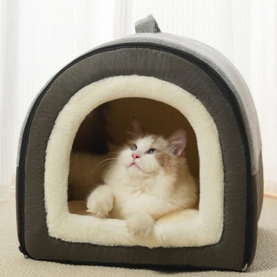 ragdoll en detente dans maison pour chaton