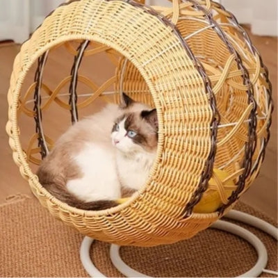 ragdoll en detente dans panier chatons