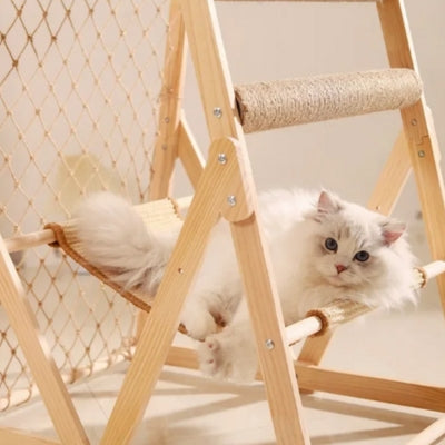 ragdoll en detente sur son hamac à chat