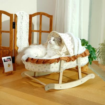 ragdoll en relaxation dans couffin chaton