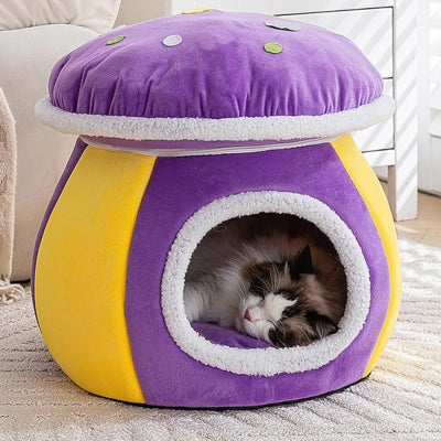 ragdoll endormi dans nid chaton mauve jaune