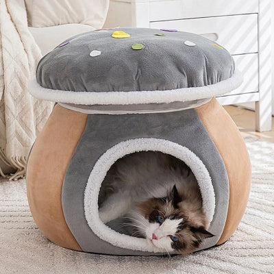 ragdoll endormi dans nid chaton