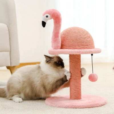 ragdoll fait ses griffes sur griffoir chat