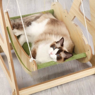 ragdoll lové confortablement dans hamac à chat