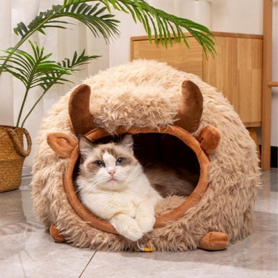 ragdoll lové confortablement dans son cocon pour chat