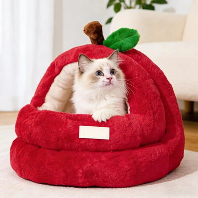 ragdoll lové dans nid chaton rouge cerise