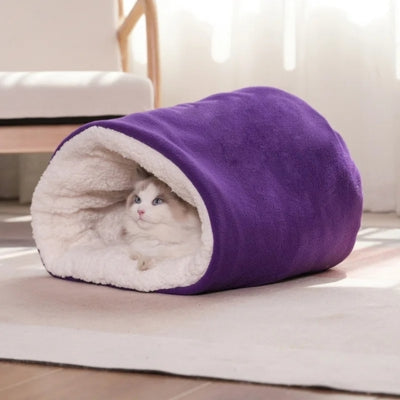 ragdoll lové dans nid chaton violet prune