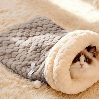 ragdoll lové dans son couffin pour chaton gris