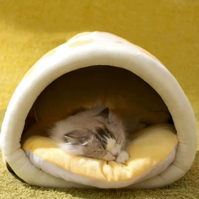 ragdoll lové dans nid chaton sweet