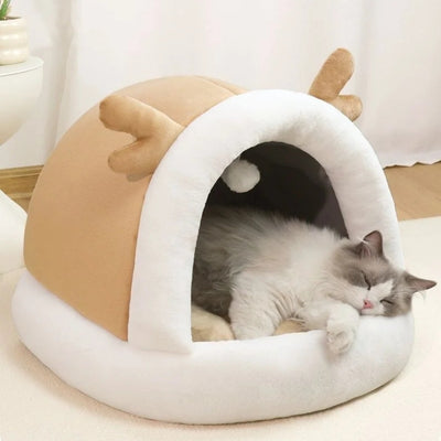 ragdoll profondement endormi dans nid chaton beige doré