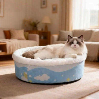 ragdoll relaxant  couffin pour chat dans salon