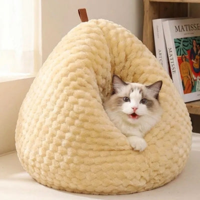 ragdoll relaxantr dans nid chaton jaune doux