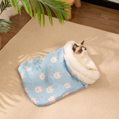 ragdoll relaxant nid chaton bleu nuage dans salon