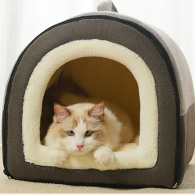 ragdoll relaxant paisiblement dans maison pour chaton