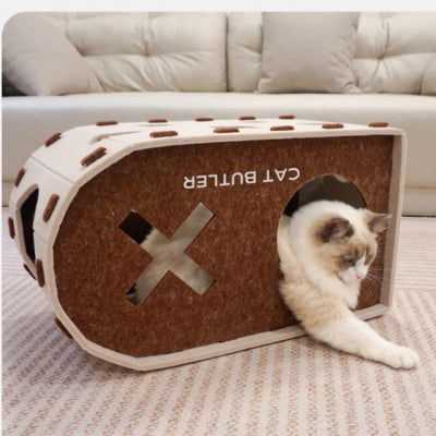 ragdoll s'amuse dans cocon pour chat