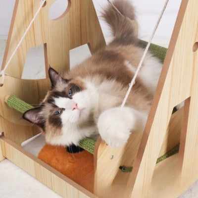 ragdoll se reposant confortablement sur hamac à chat