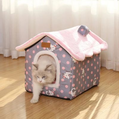 ragdoll sortant maison pour chaton minette