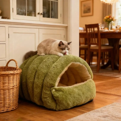ragdoll sur dessus maison pour chaton se toilettant