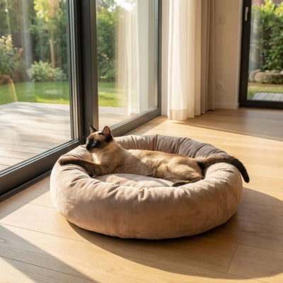 siamois allongé sur couffin pour chat taupe