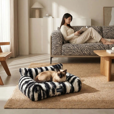 siamois detendu dans panier chatons maîtresse lis livre