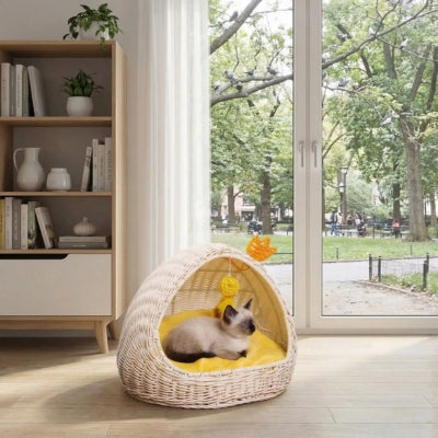 siamois detendu dans panier chatons